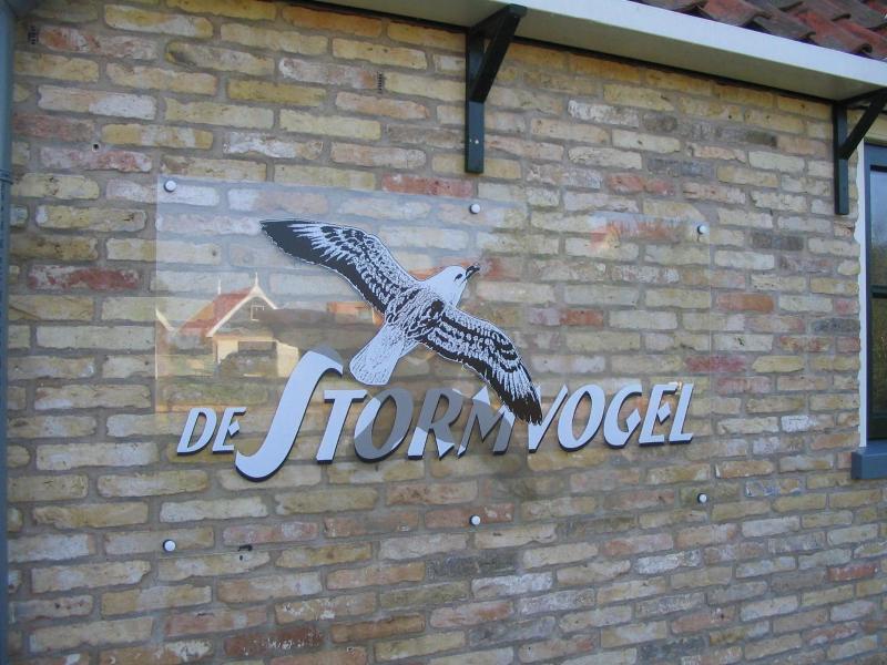 De Stormvogel