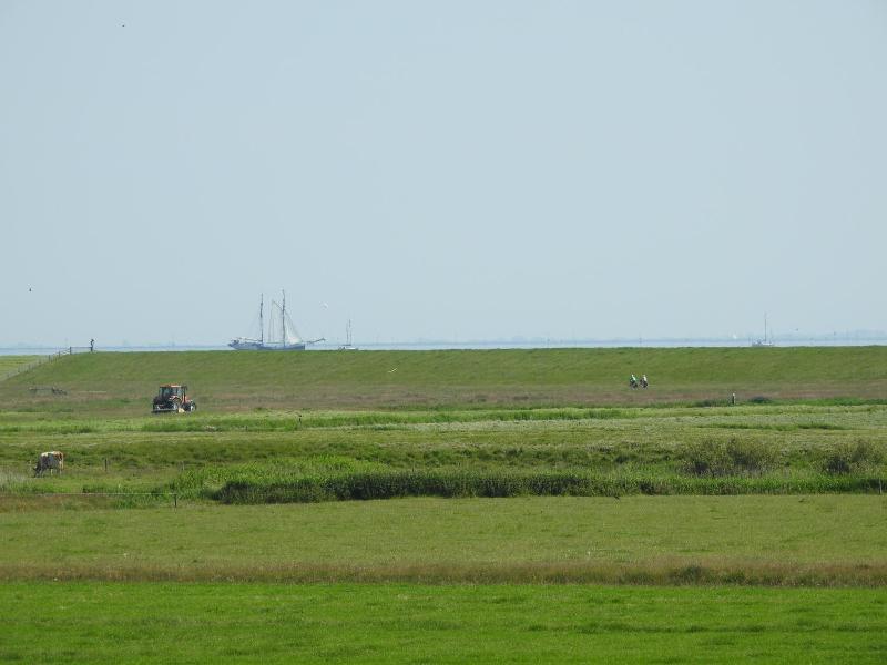 De Stormvogel