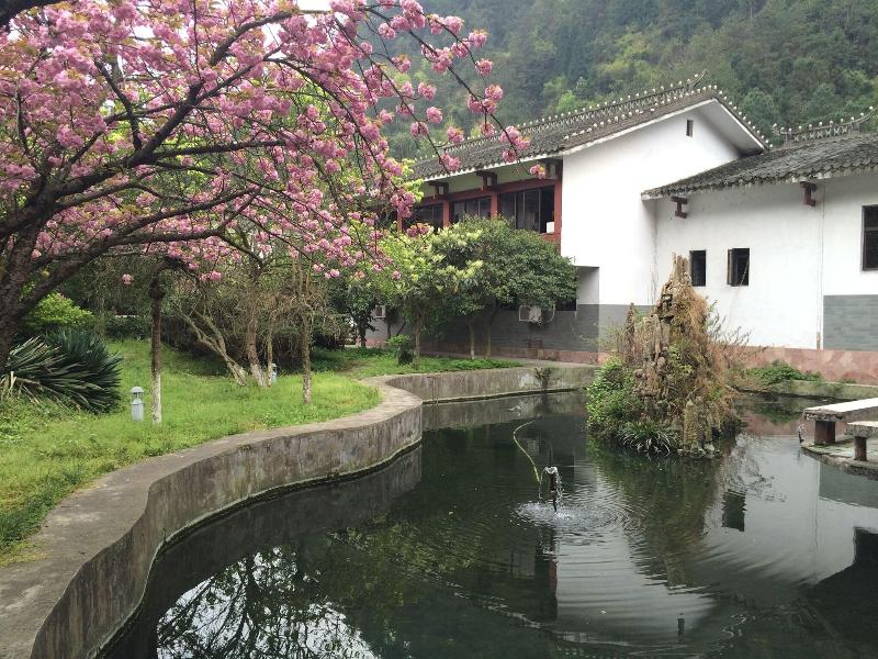 Pipaxi Hunan Zhangjiajie image
