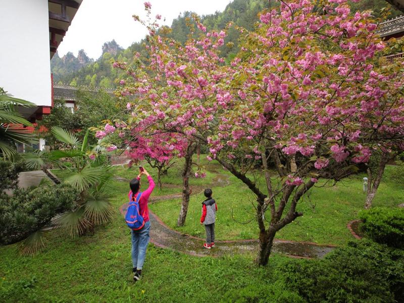 Pipaxi Hunan Zhangjiajie image