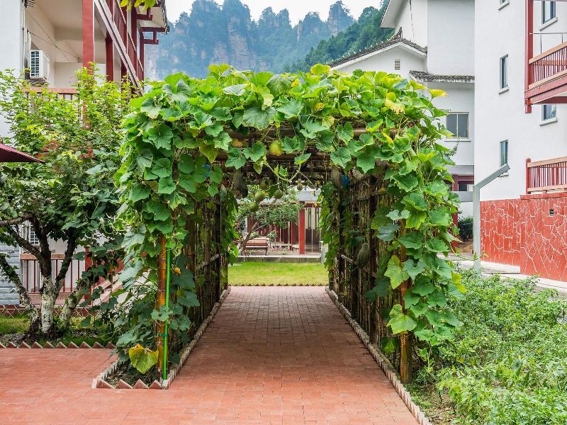 Pipaxi Hunan Zhangjiajie image