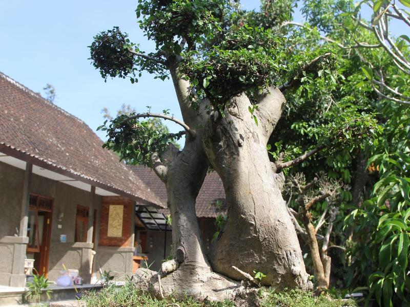 Jerogadung House image