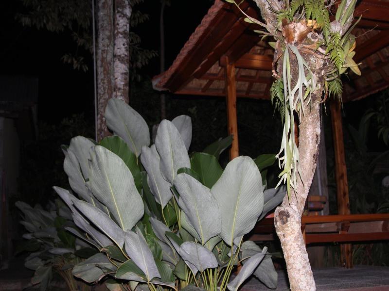 Jerogadung House image