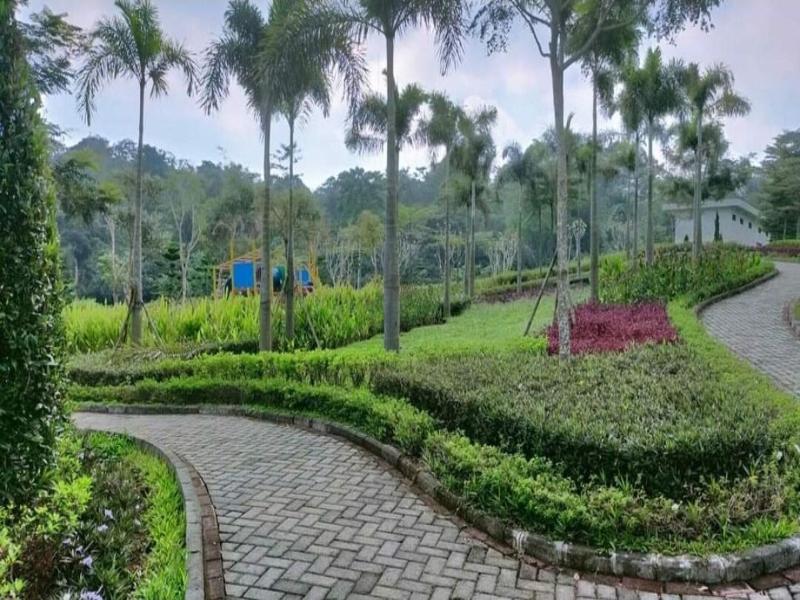 The Valley Guesthouse image
