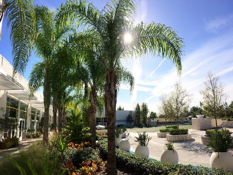 Hilton Orlando image