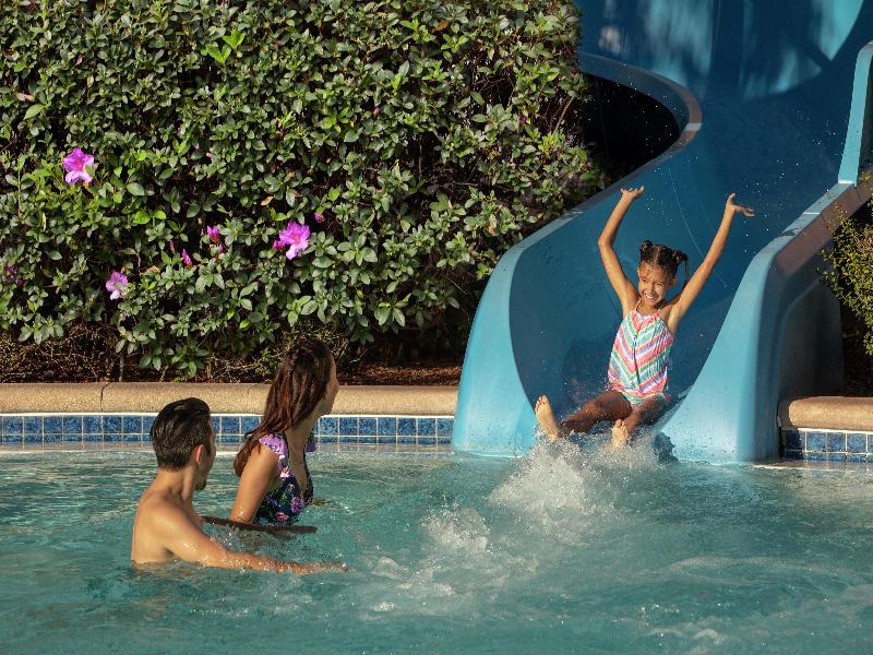 Hilton Orlando image