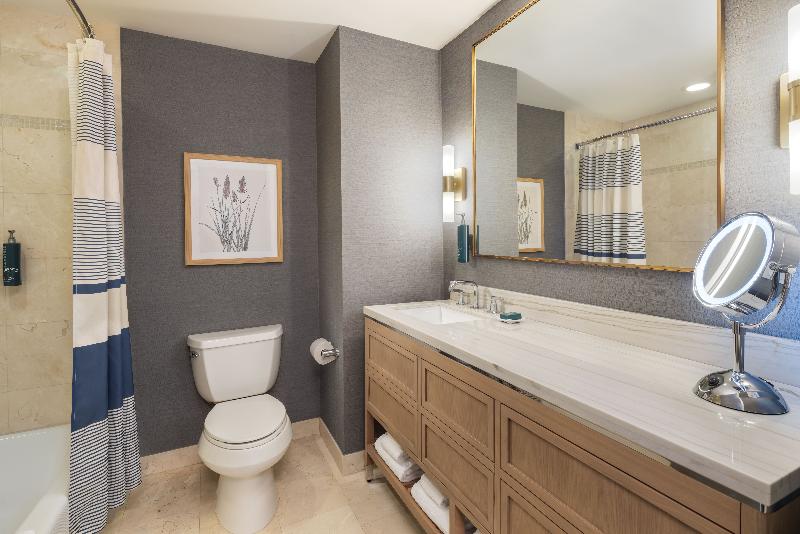 Hilton Orlando image