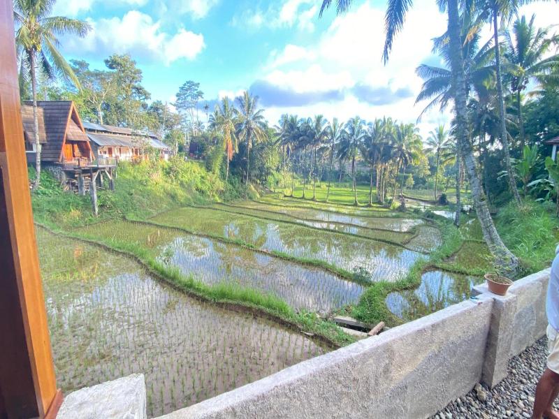 Nea Cottage Lombok image
