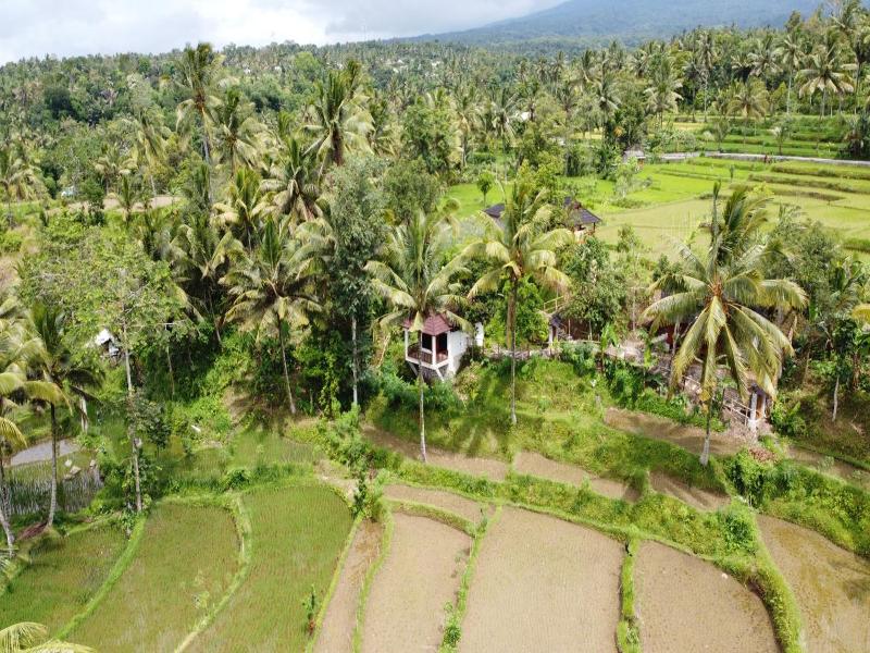 Nea Cottage Lombok image