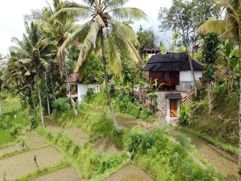Nea Cottage Lombok image