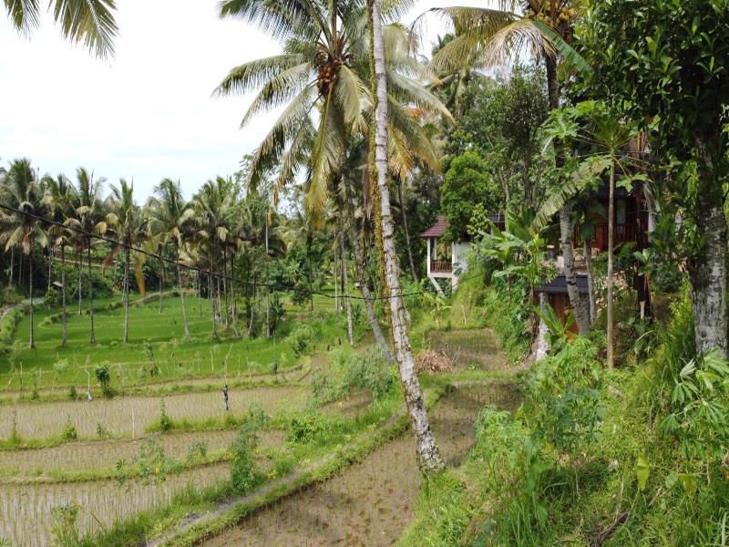 Nea Cottage Lombok image