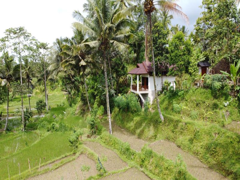 Nea Cottage Lombok image