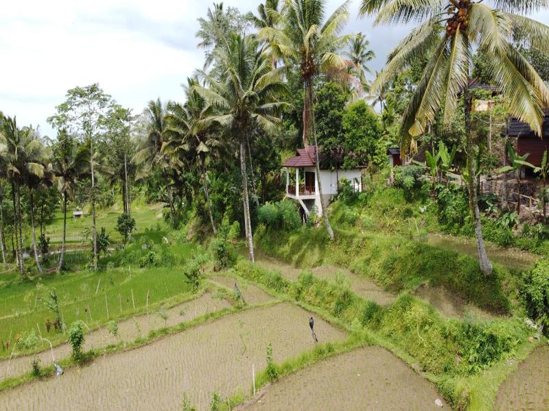 Nea Cottage Lombok image