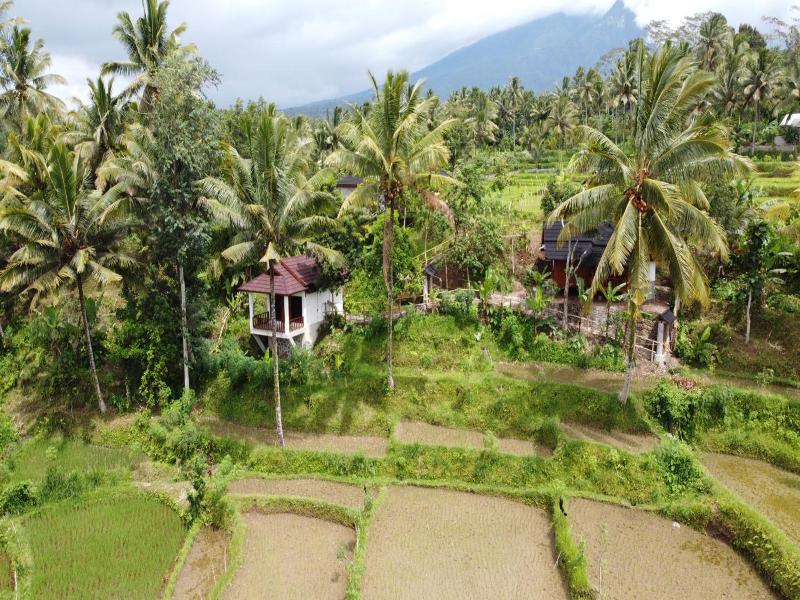 Nea Cottage Lombok image