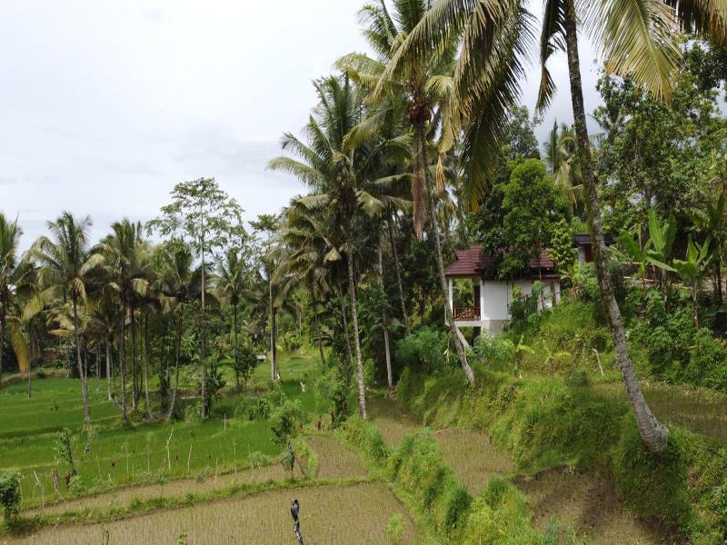 Nea Cottage Lombok image