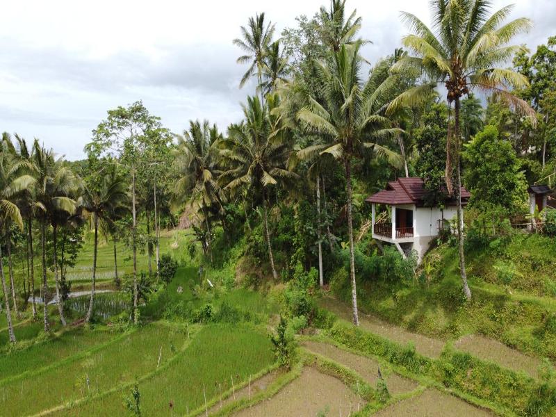Nea Cottage Lombok image