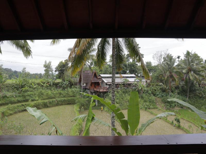Nea Cottage Lombok image