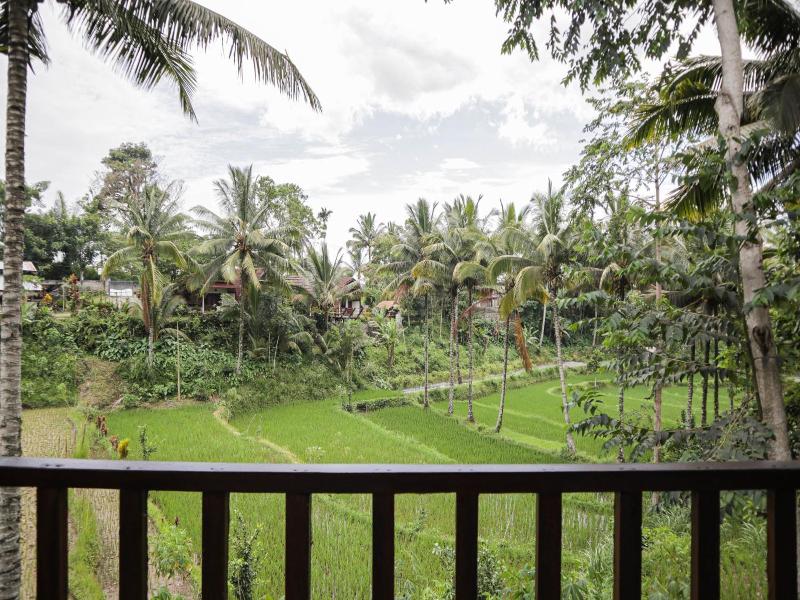 Nea Cottage Lombok image