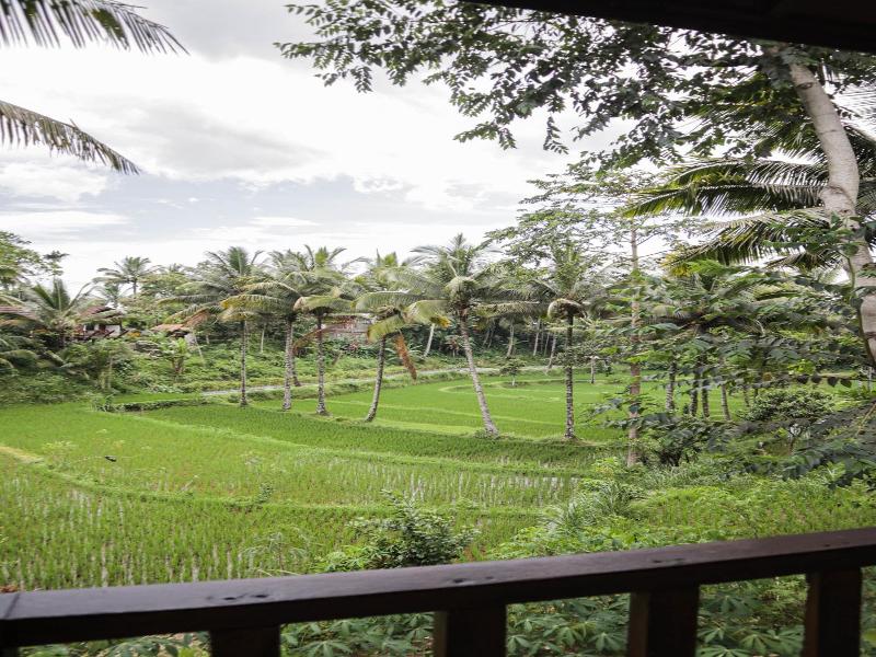 Nea Cottage Lombok image