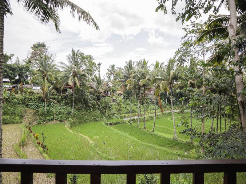 Nea Cottage Lombok image