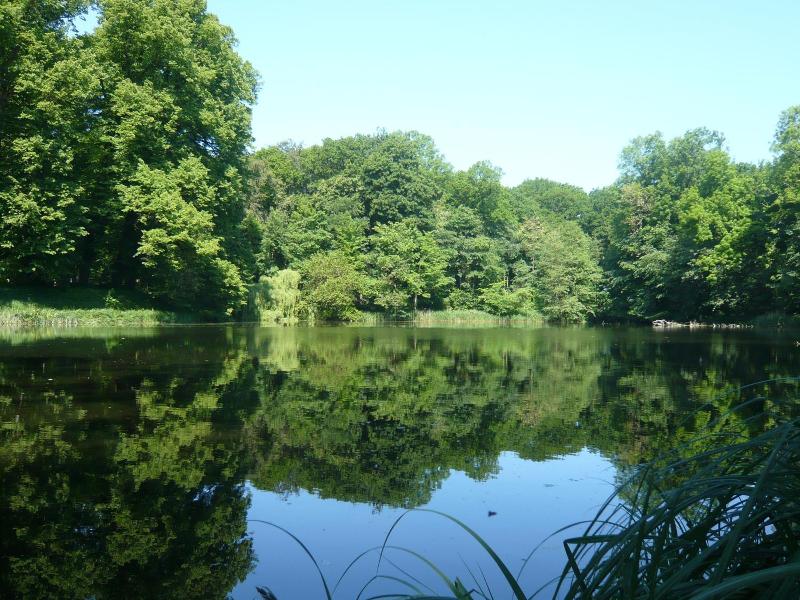 Carmina Am See image