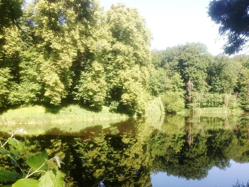 Carmina Am See image