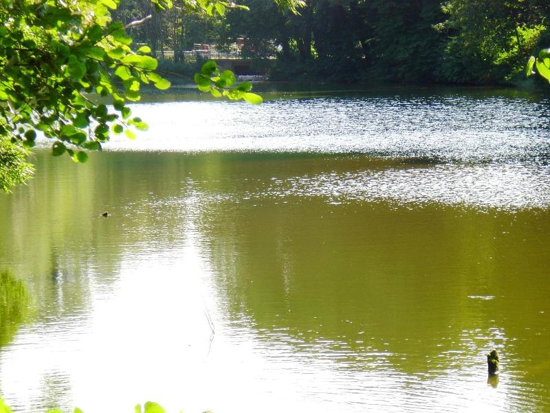 Carmina Am See image