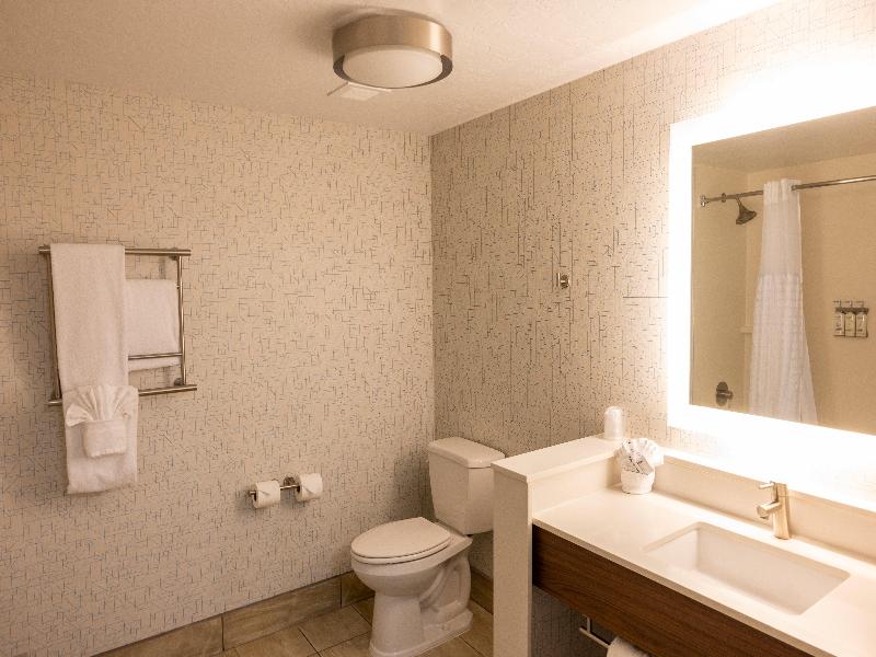 Holiday Inn Express Salt Lake City Downtown image