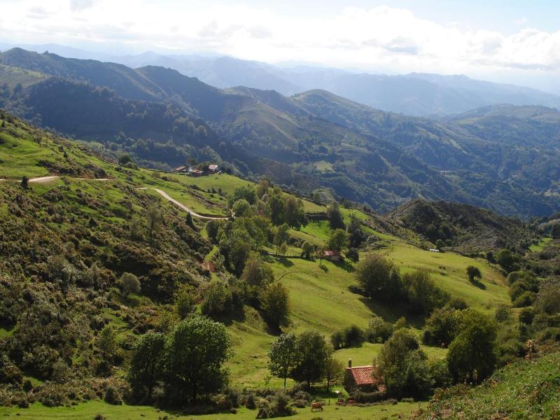 Casa Narzana image