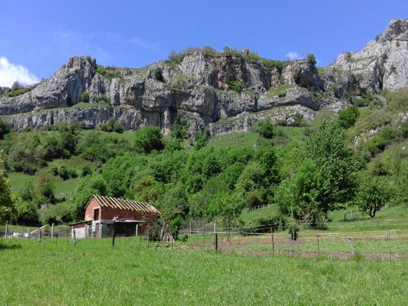Casa Narzana image