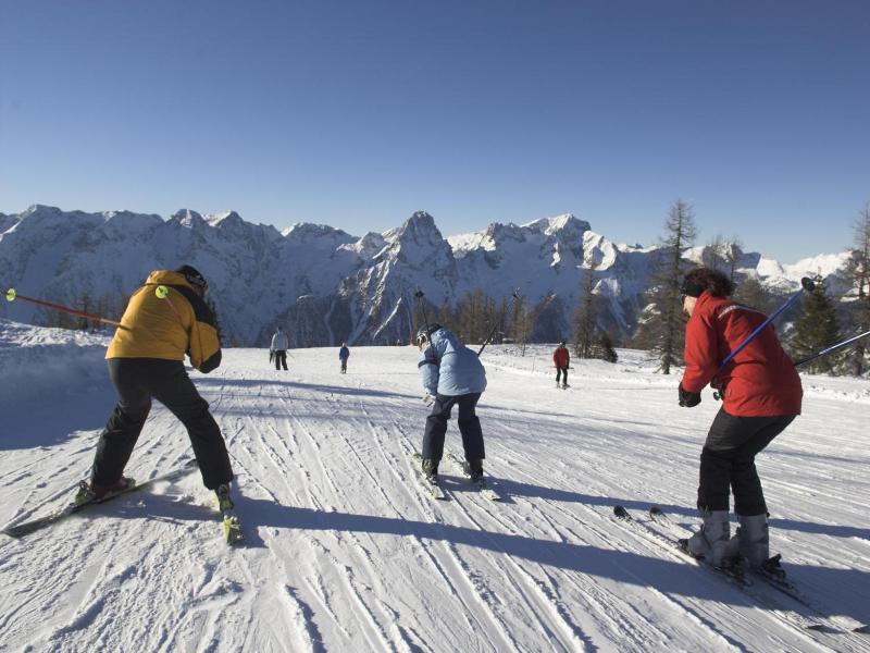 Almresort Baumschlagerberg image