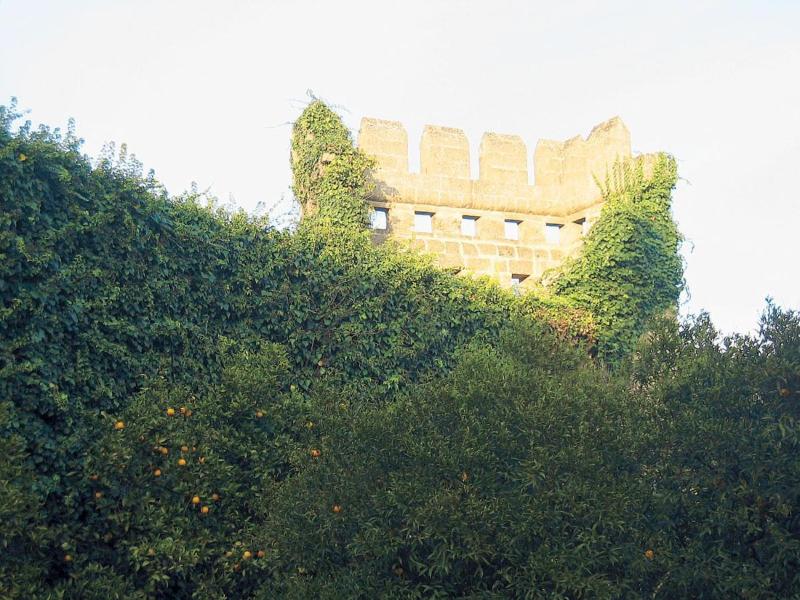 Palazzo Ducale Sangiovanni image