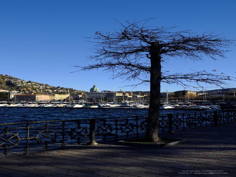 Appartamenti Monti Como Lake image