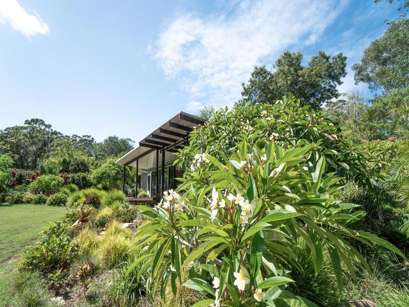 Lily Pad At Byron Bay image