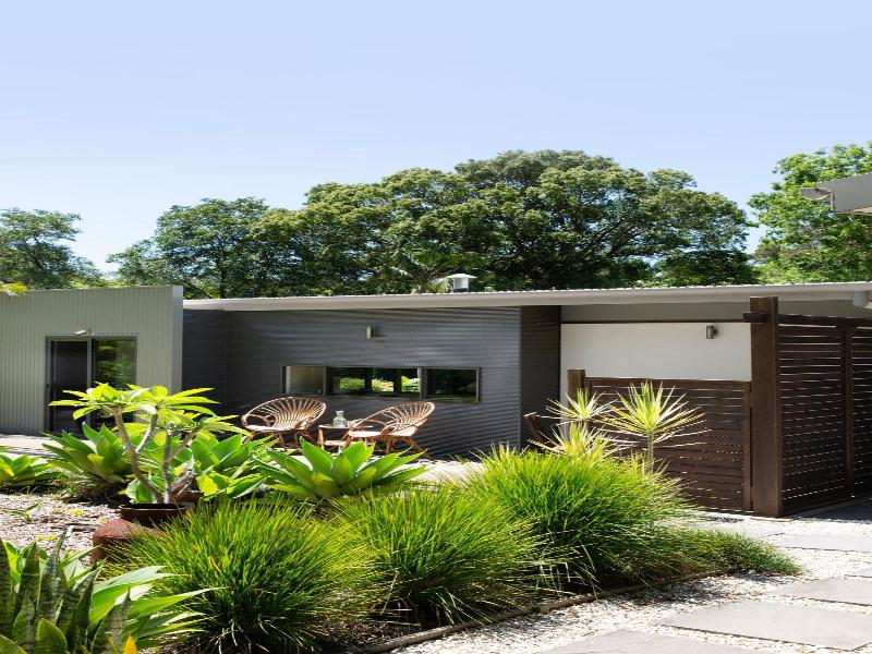 Lily Pad At Byron Bay image