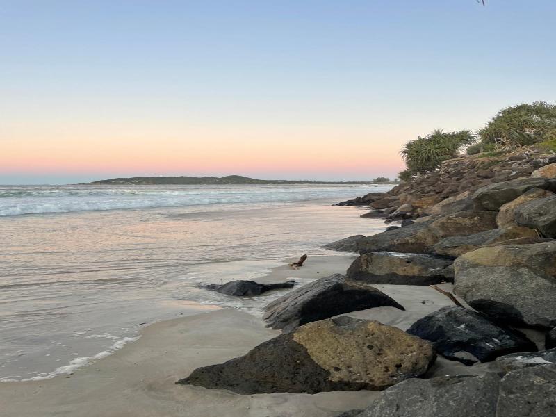 Lily Pad At Byron Bay image