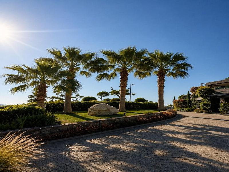 Voger Bodrum By The Sea image