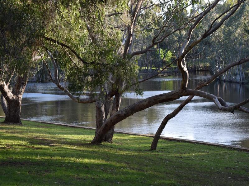 Bushy Lake Chalets