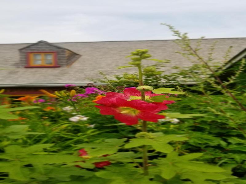 Auberge Le P'tit Bonheur