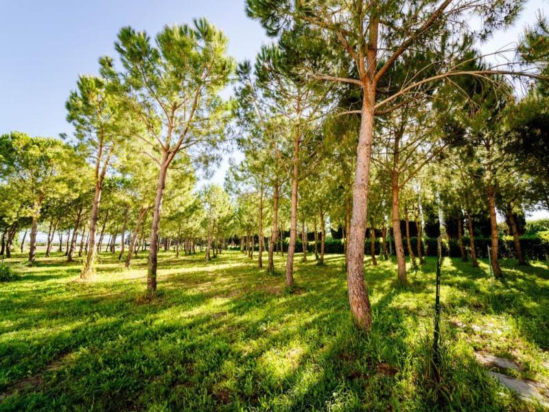 Agriturismo Bio San Mamiliano image