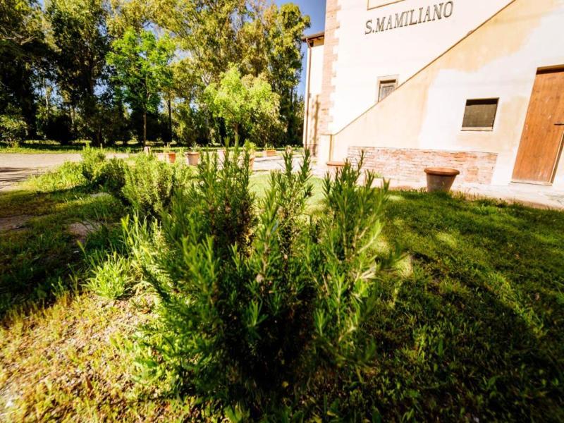 Agriturismo Bio San Mamiliano image