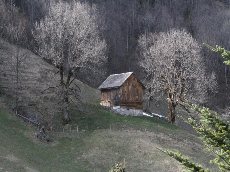 Alpen Suites Brandnertal image