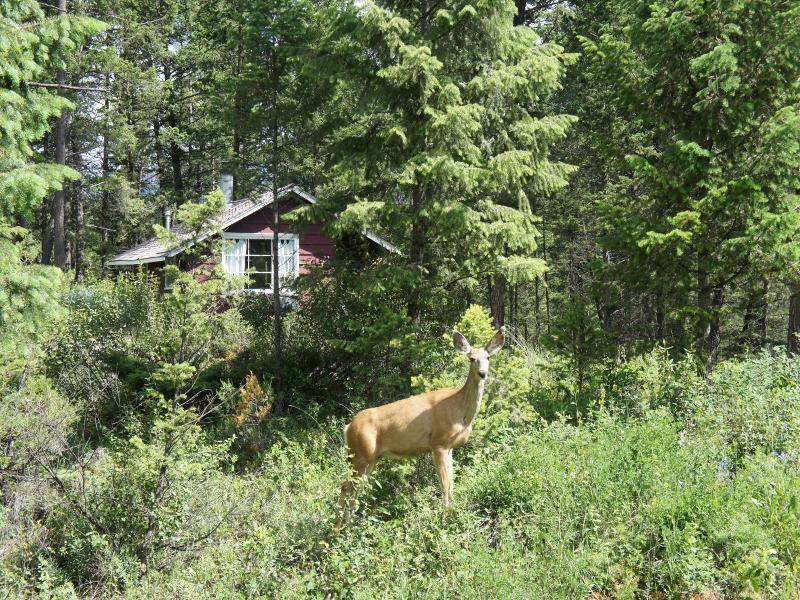 Fairmont Mountain Bungalows