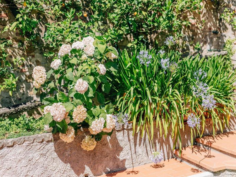 Holiday Home Il Borgo Degli Agrumi image