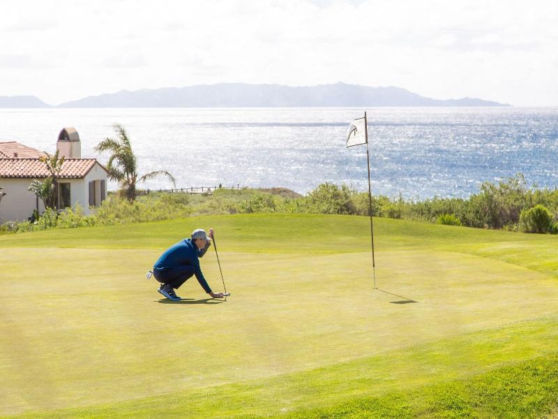 Terranea Resort image