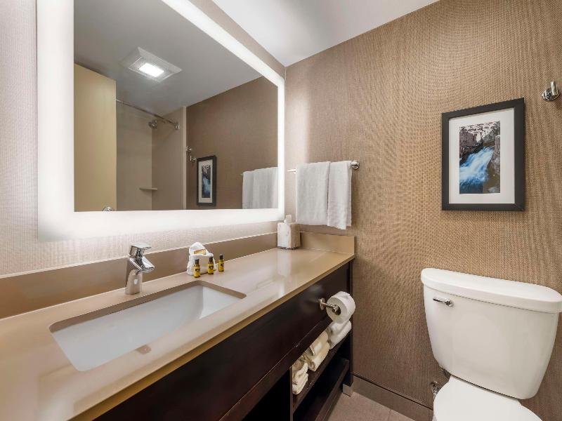Best Western Plus Ramkota Hotel image