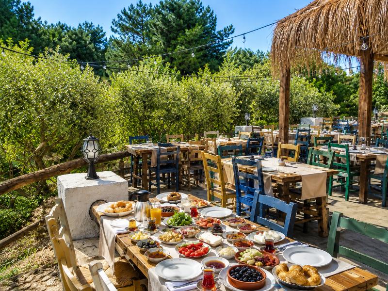 Alya Hill Bodrum image