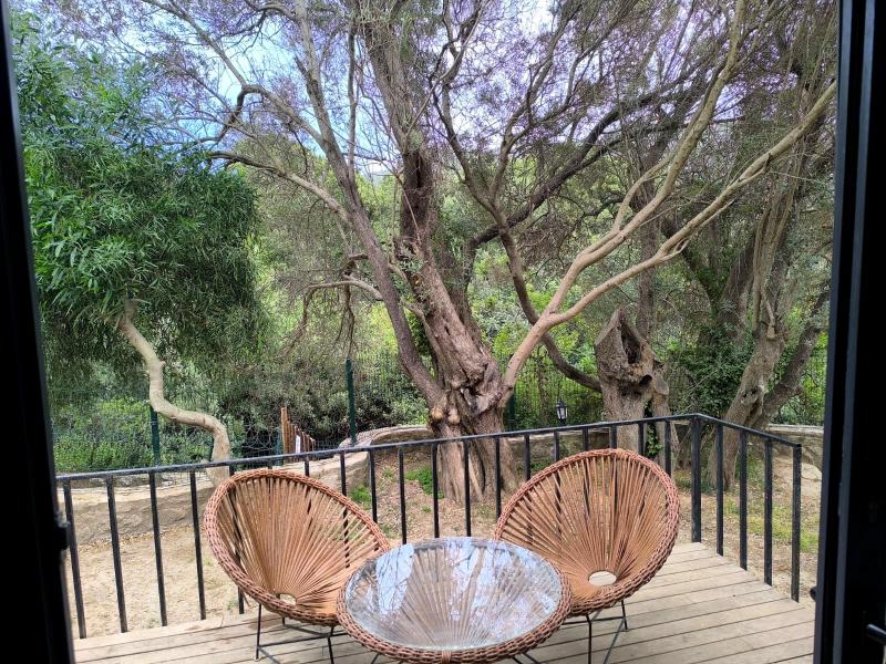 Alya Hill Bodrum image