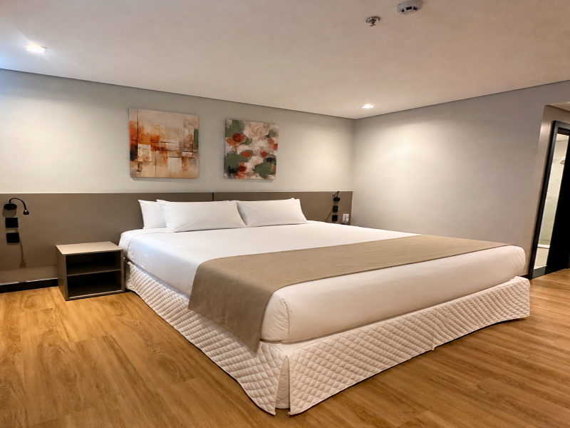 Hotel Plaza Belmar image