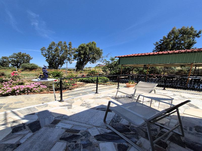Issa Thermi image